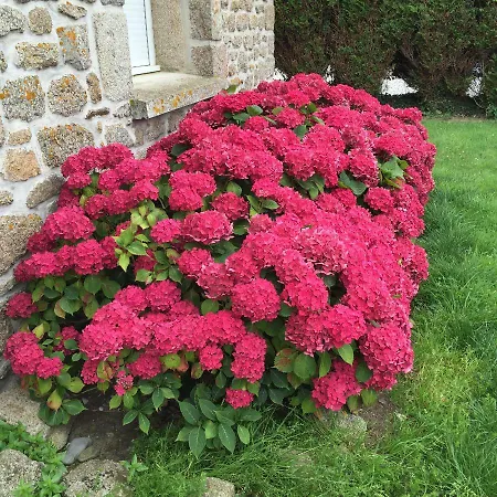 Cotentin בית נופש *