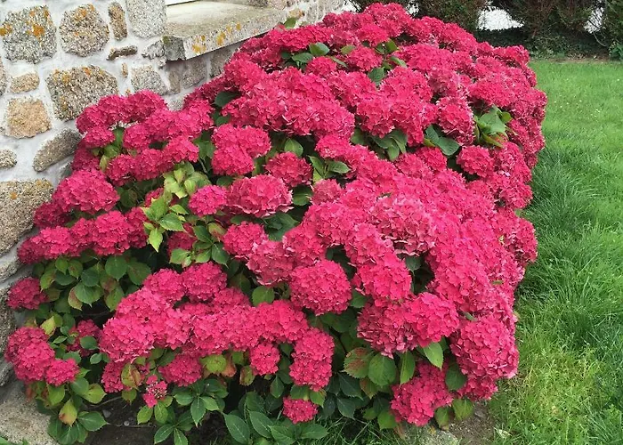 Cotentin Сasa de vacaciones *